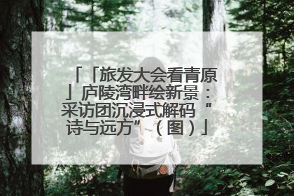 「旅发大会看青原」庐陵湾畔绘新景：采访团沉浸式解码“诗与远方”（图）